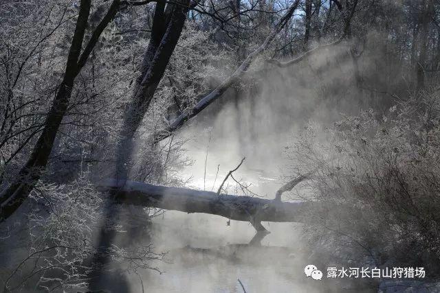 蝎子逃生之地